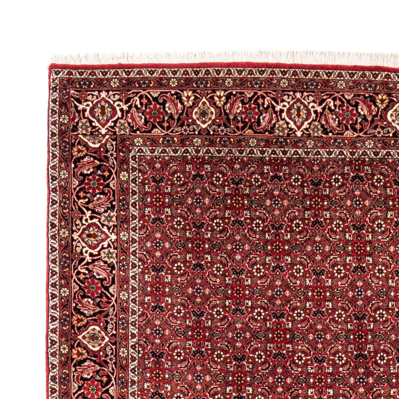 Bidjar Dywan 238x178cm - Dywan perski