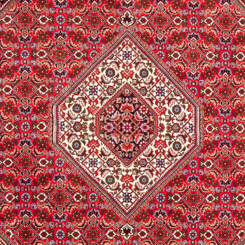 Perserteppich - Bidjar - 253 x 170 cm - rot