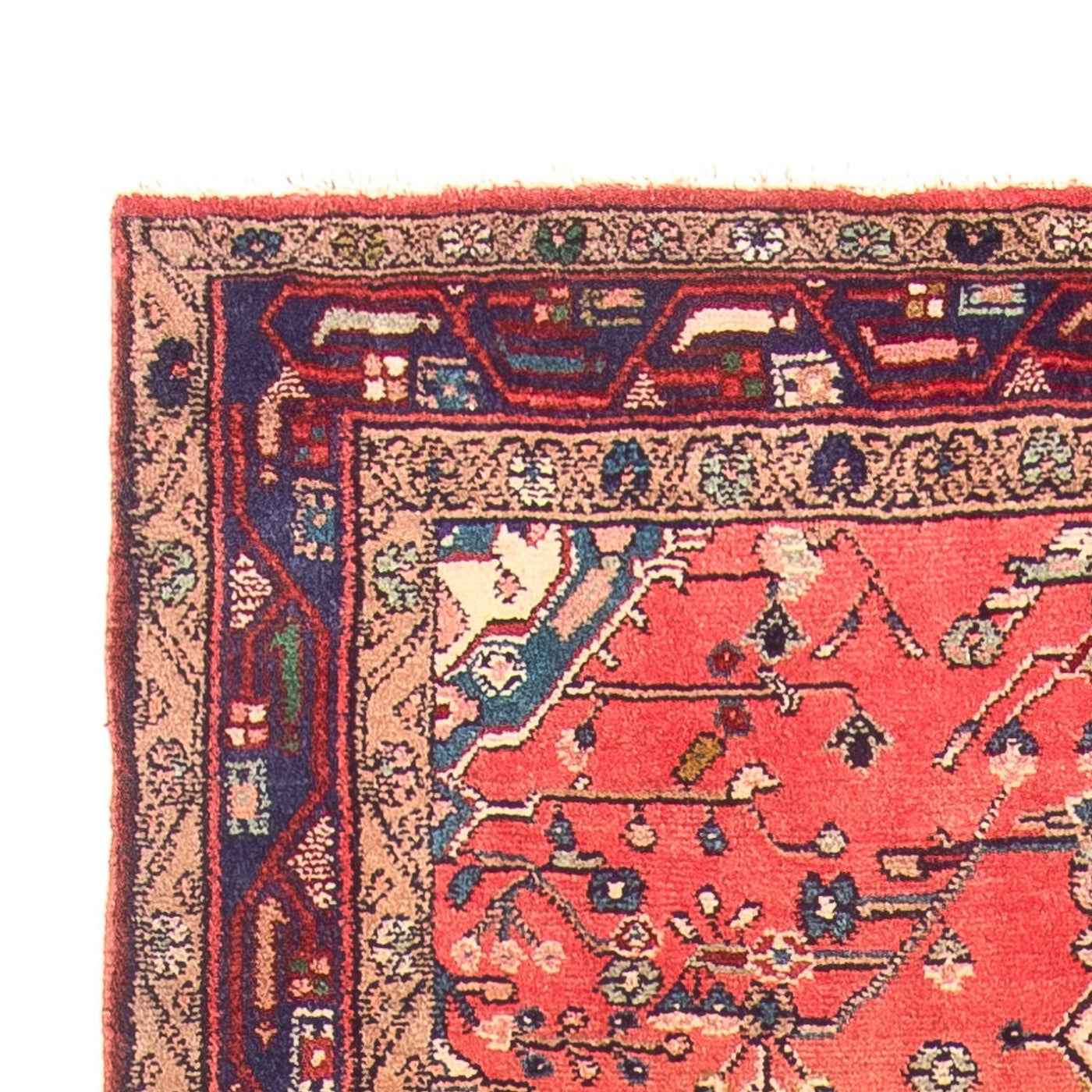 Kolyai Dywan 311x126cm - Dywan perski