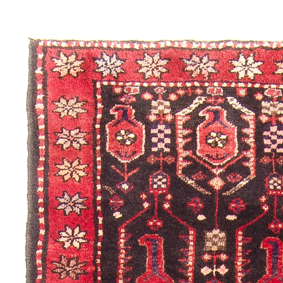 Kolyai Dywan 100x287cm - Dywan perski