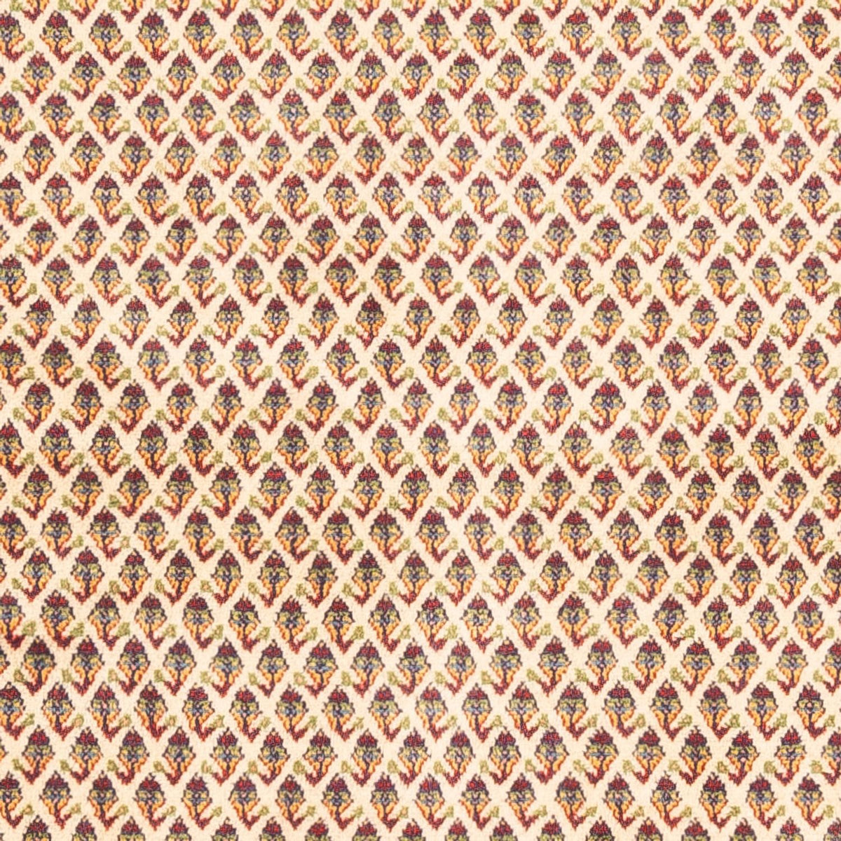 Dywan perski - Mir - 254 x 213 cm - jasny beż