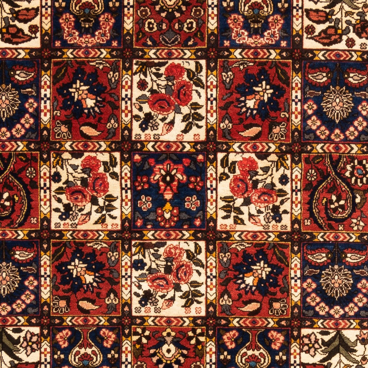 Perski dywan - Nomadyczny - 250 x 155 cm - wielokolorowy