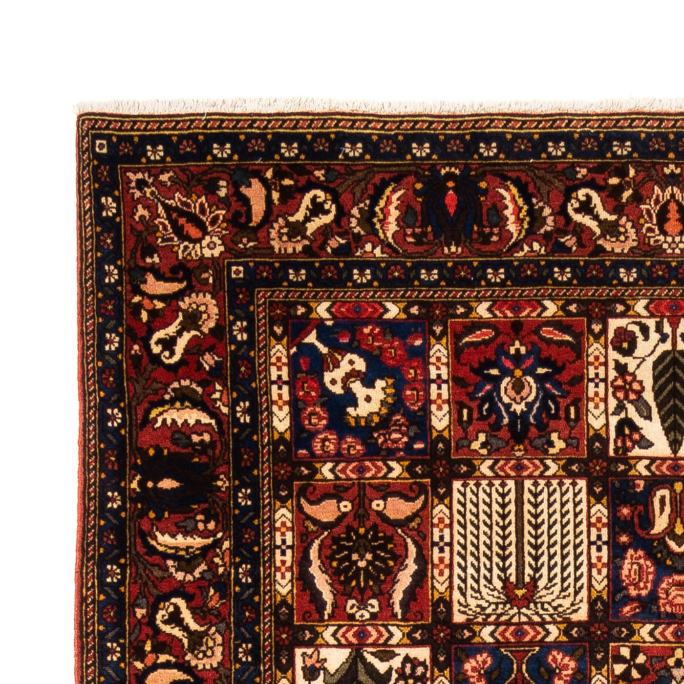 Bakhtiari Dywan 250x155cm - Dywan perski