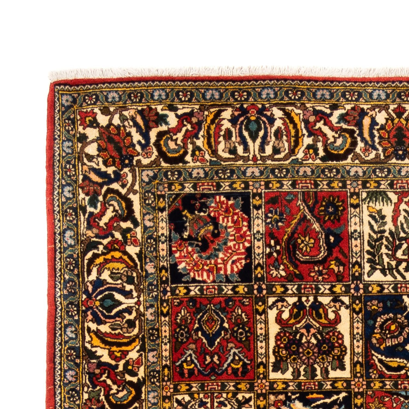 Bakhtiari Dywan 250x155cm - Dywan perski