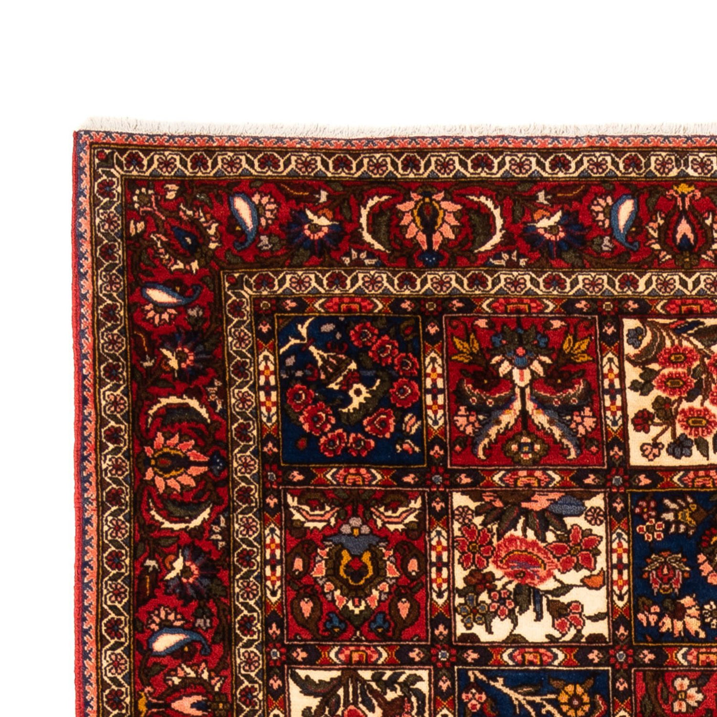 Bakhtiari Dywan 260x157cm - Dywan perski