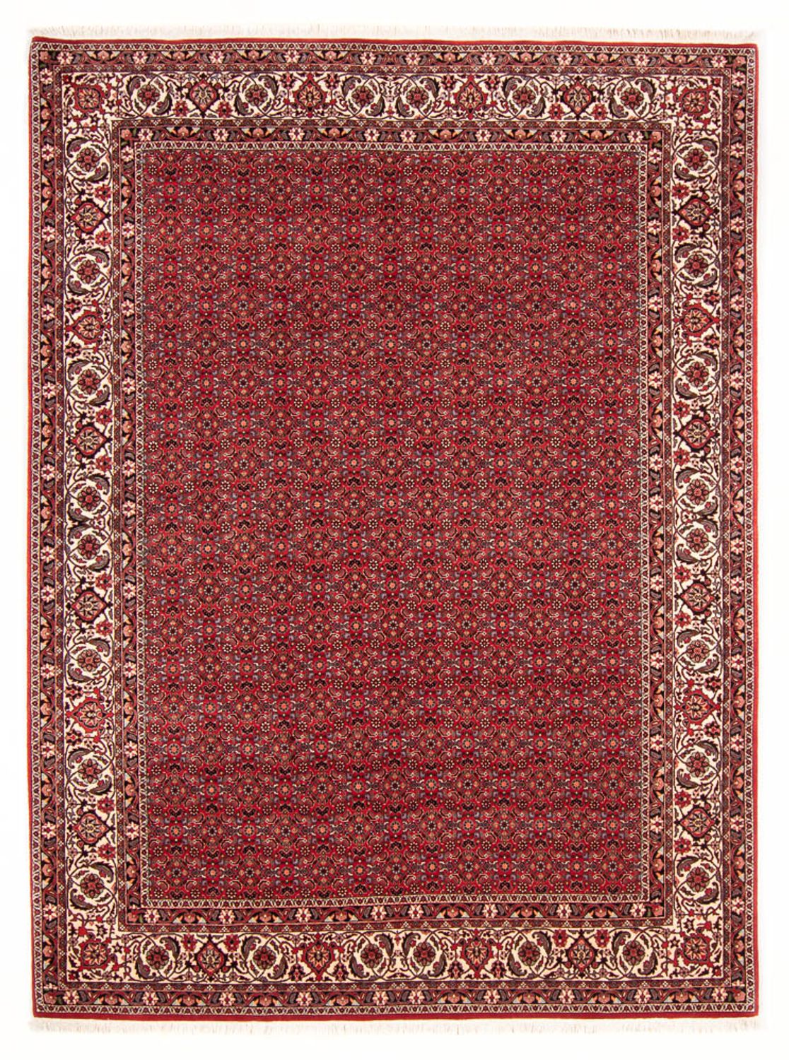 Perserteppich - Bidjar - Royal - 272 x 217 cm - dunkelrot