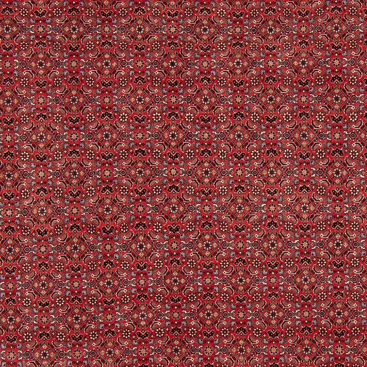 Perserteppich - Bidjar - Royal - 272 x 217 cm - dunkelrot