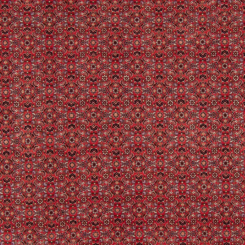 Perserteppich - Bidjar - Royal - 272 x 217 cm - dunkelrot