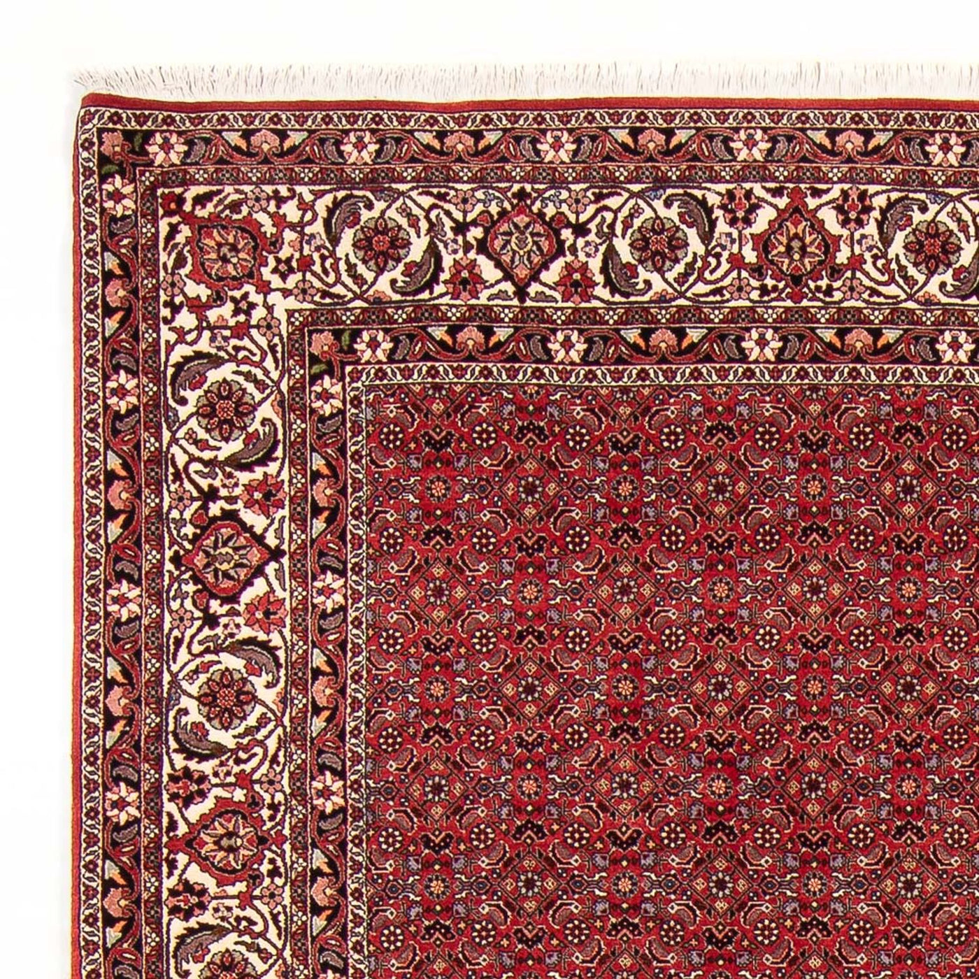 Perserteppich - Bidjar - Royal - 272 x 217 cm - dunkelrot