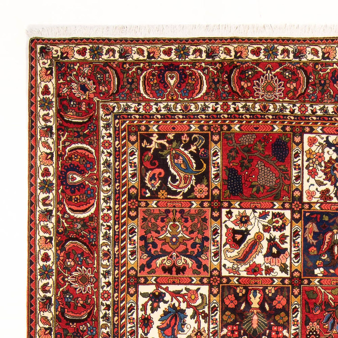 Bakhtiari Dywan 314x210cm - Dywan perski