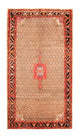 Kolyai Dywan 313x170cm - Dywan perski