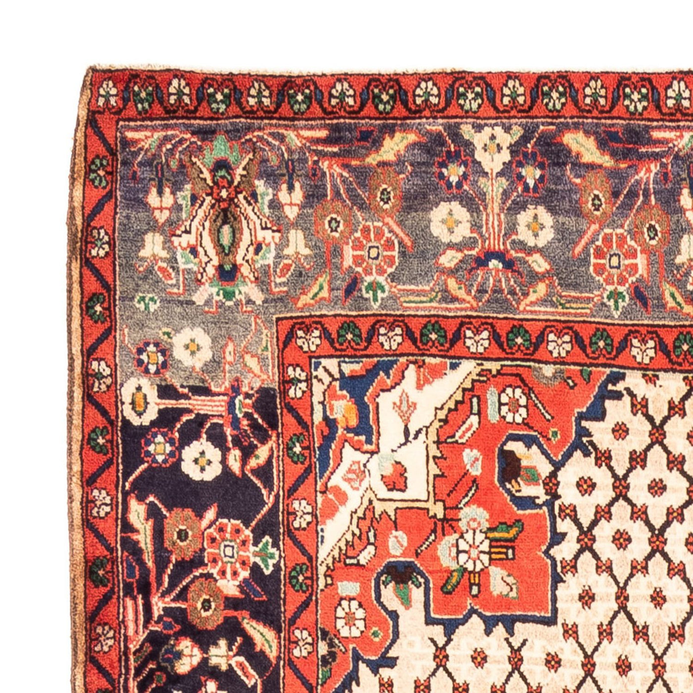 Kolyai Dywan 310x155cm - Dywan perski