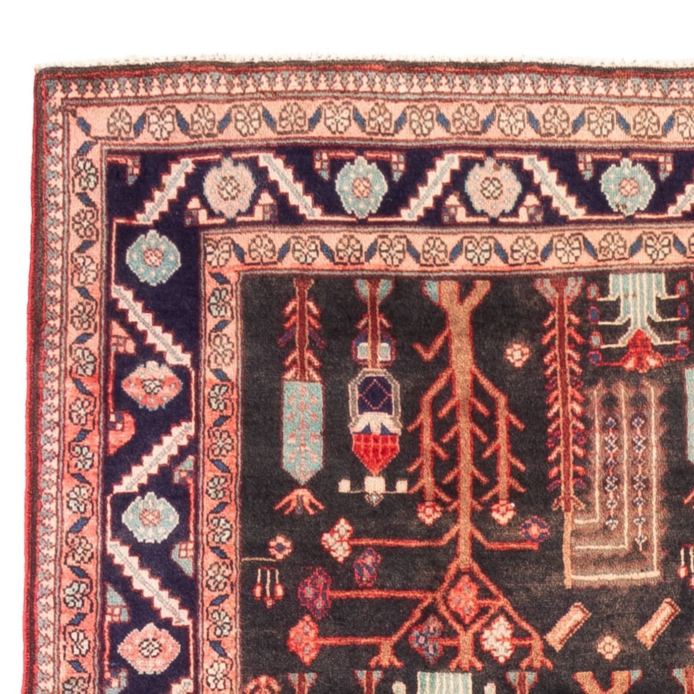 Kolyai Dywan 270x152cm - Dywan perski