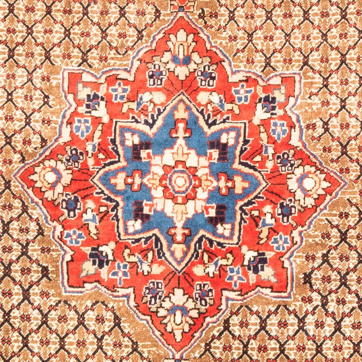 Perserteppich - Nomadic - 310 x 158 cm - rot