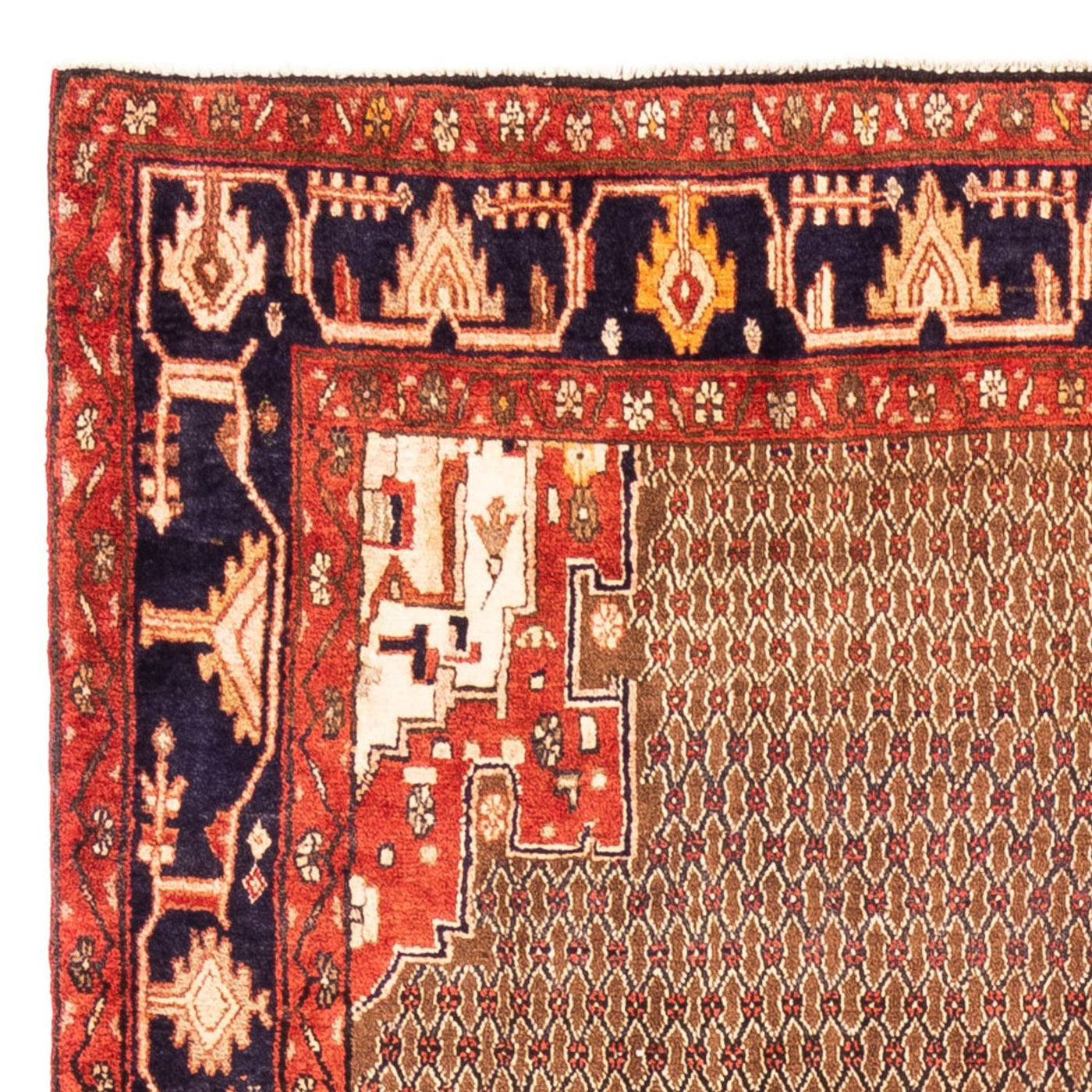 Kolyai Dywan 307x160cm - Dywan perski