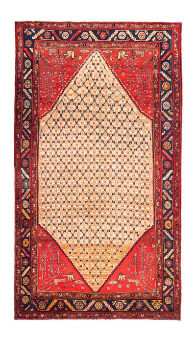 Kolyai Dywan 153x273cm - Dywan perski