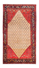 Kolyai Teppich 273x153cm - Perserteppich