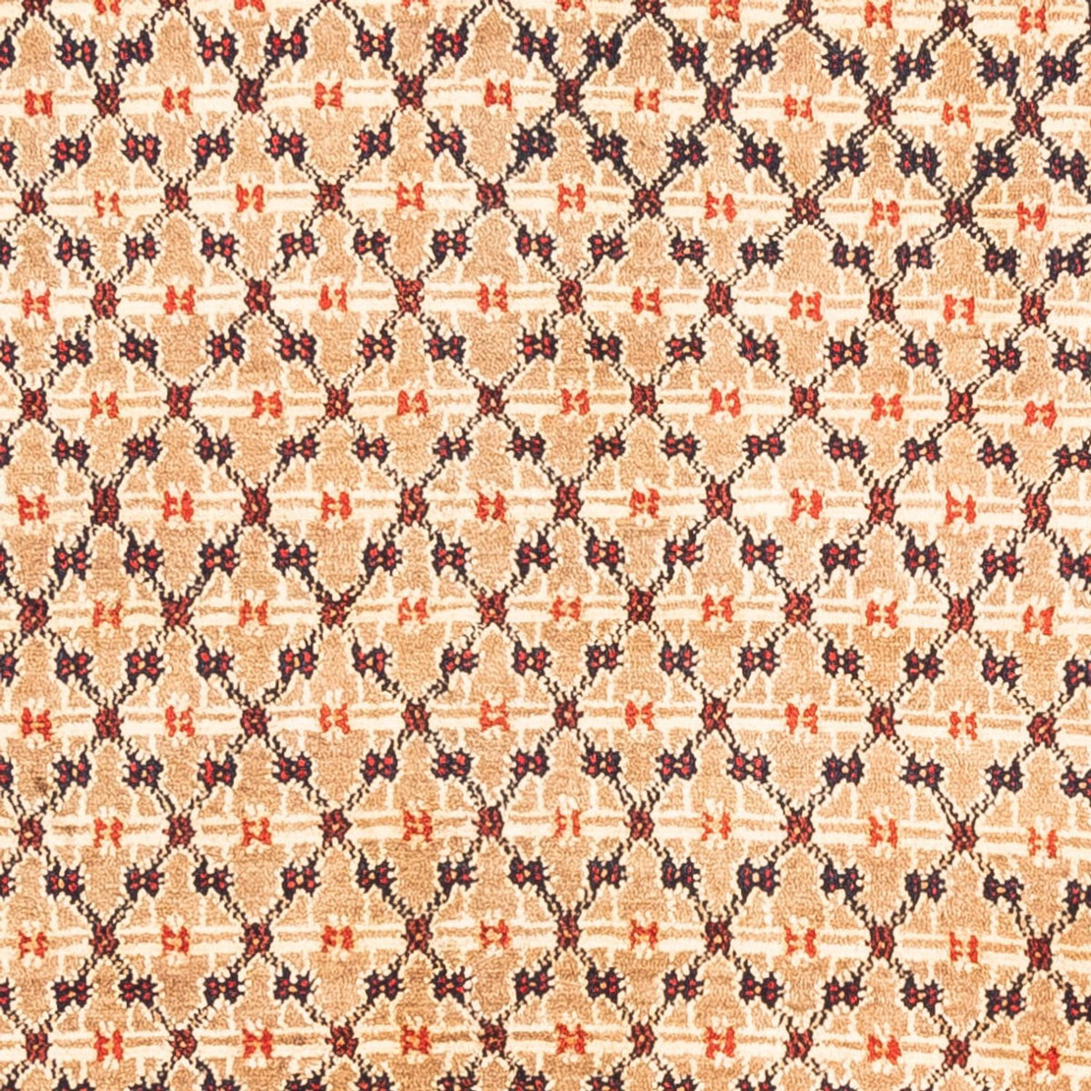 Perserteppich - Nomadic - 273 x 153 cm - creme