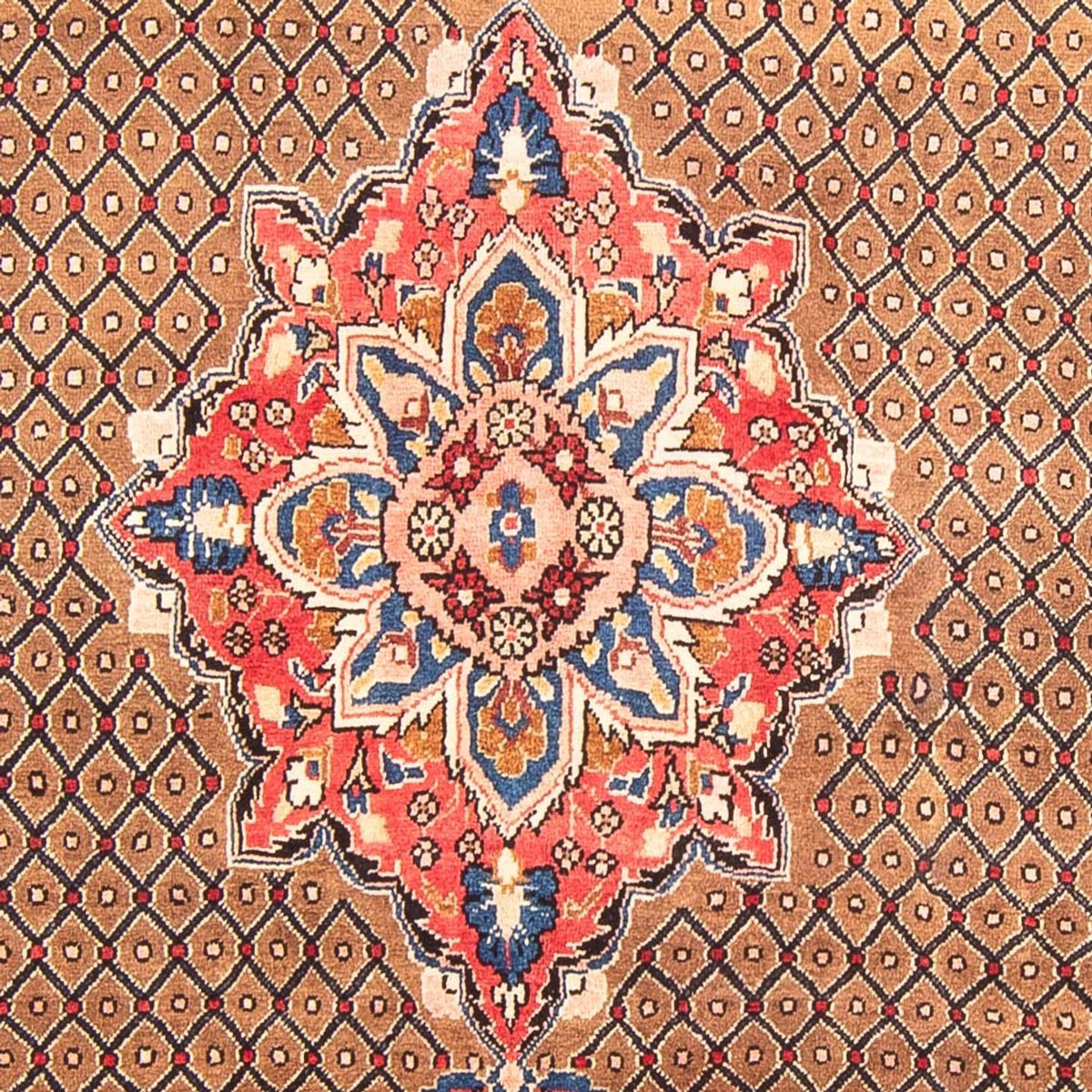 Perserteppich - Nomadic - 285 x 150 cm - mehrfarbig