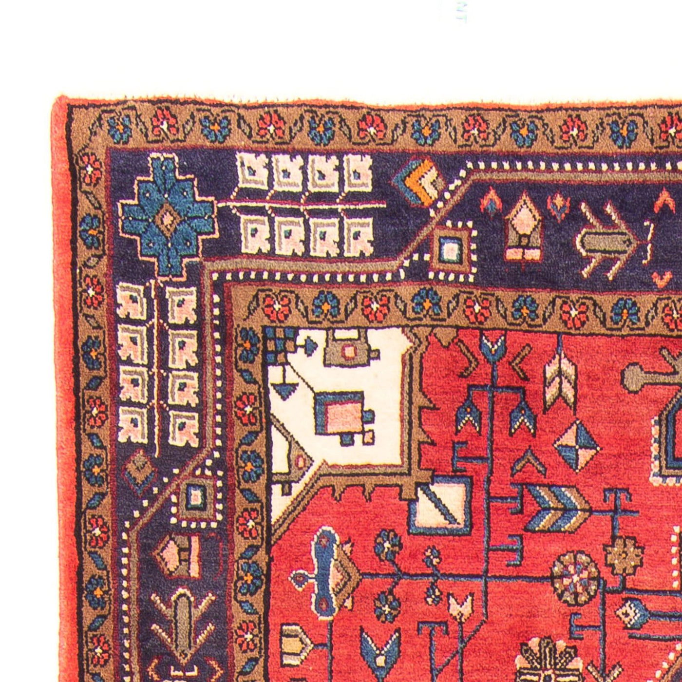 Kolyai Dywan 257x150cm - Dywan perski