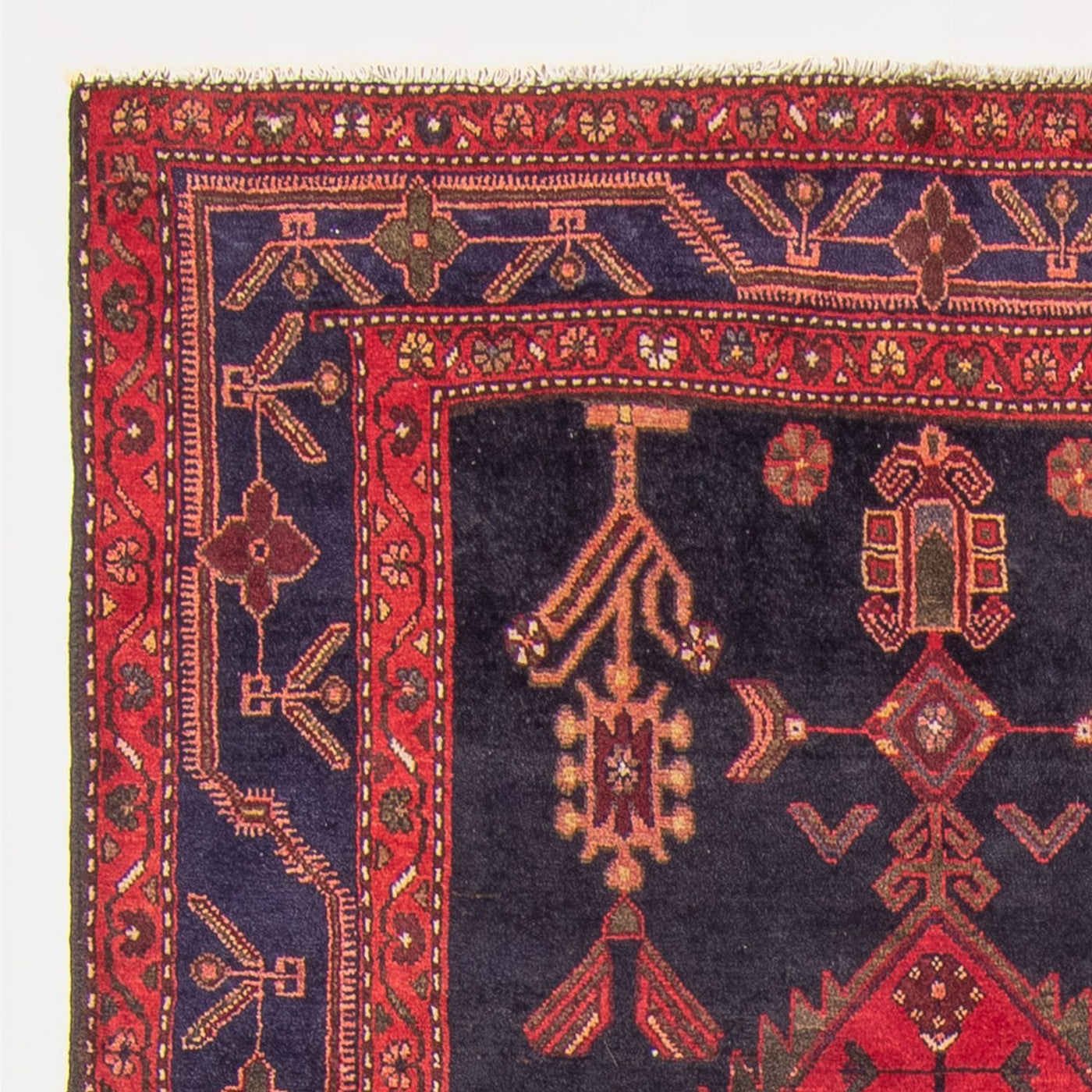 Kolyai Dywan 290x134cm - Dywan perski