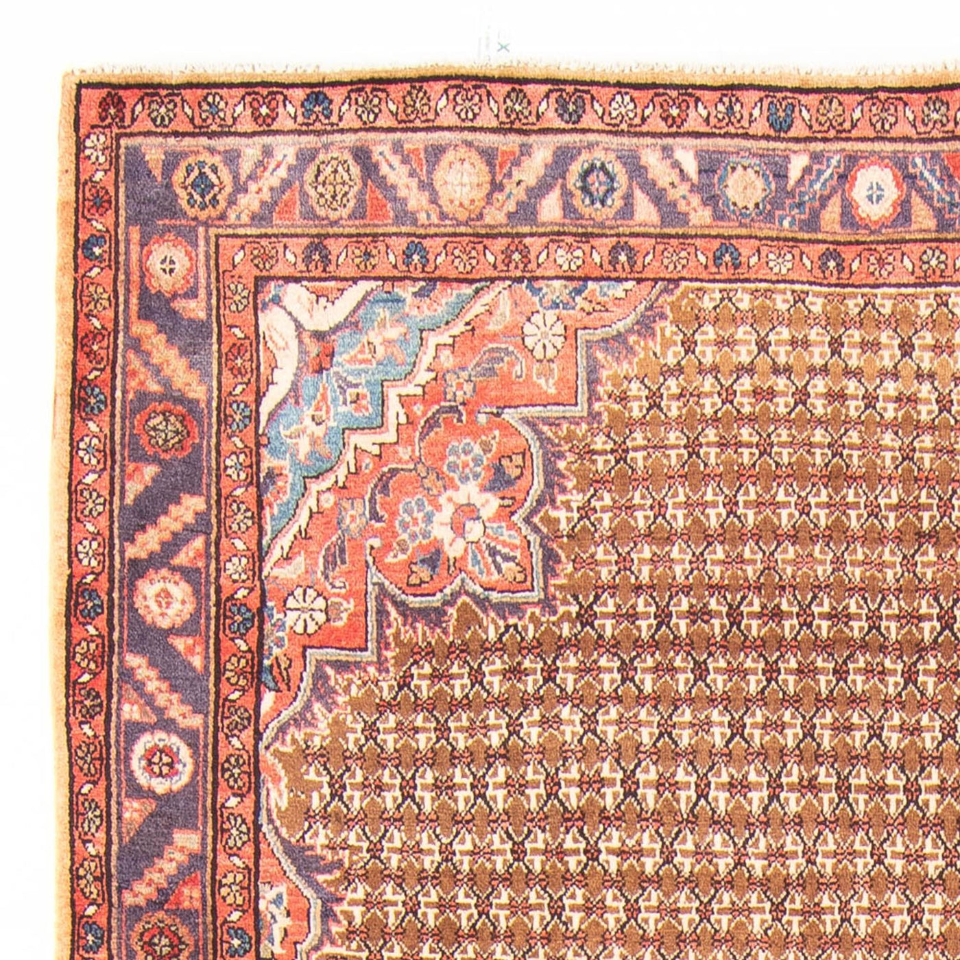 Kolyai Dywan 310x155cm - Dywan perski