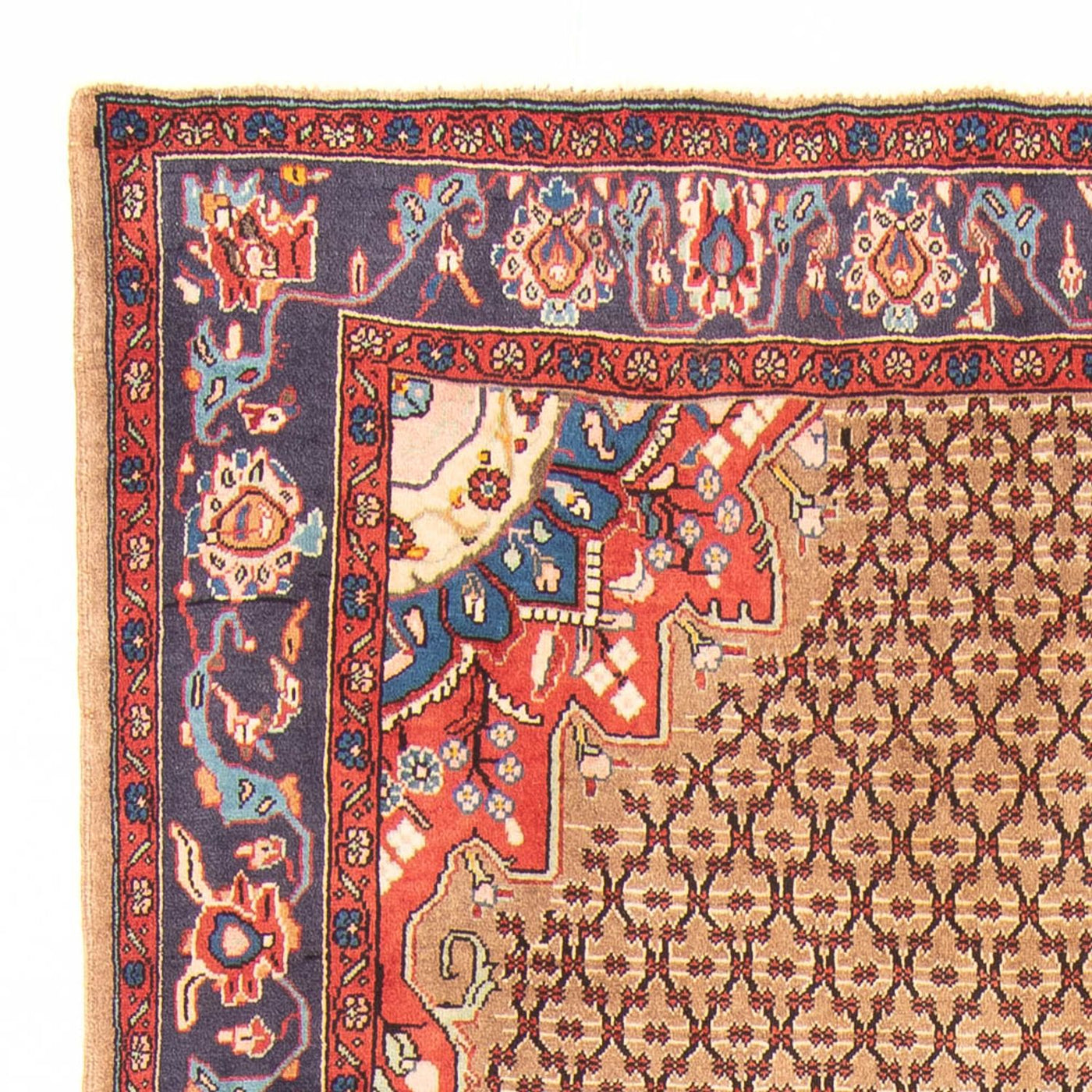 Kolyai Dywan 310x150cm - Dywan perski