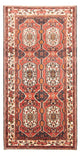 Bakhtiari Dywan 300x166cm - Dywan perski