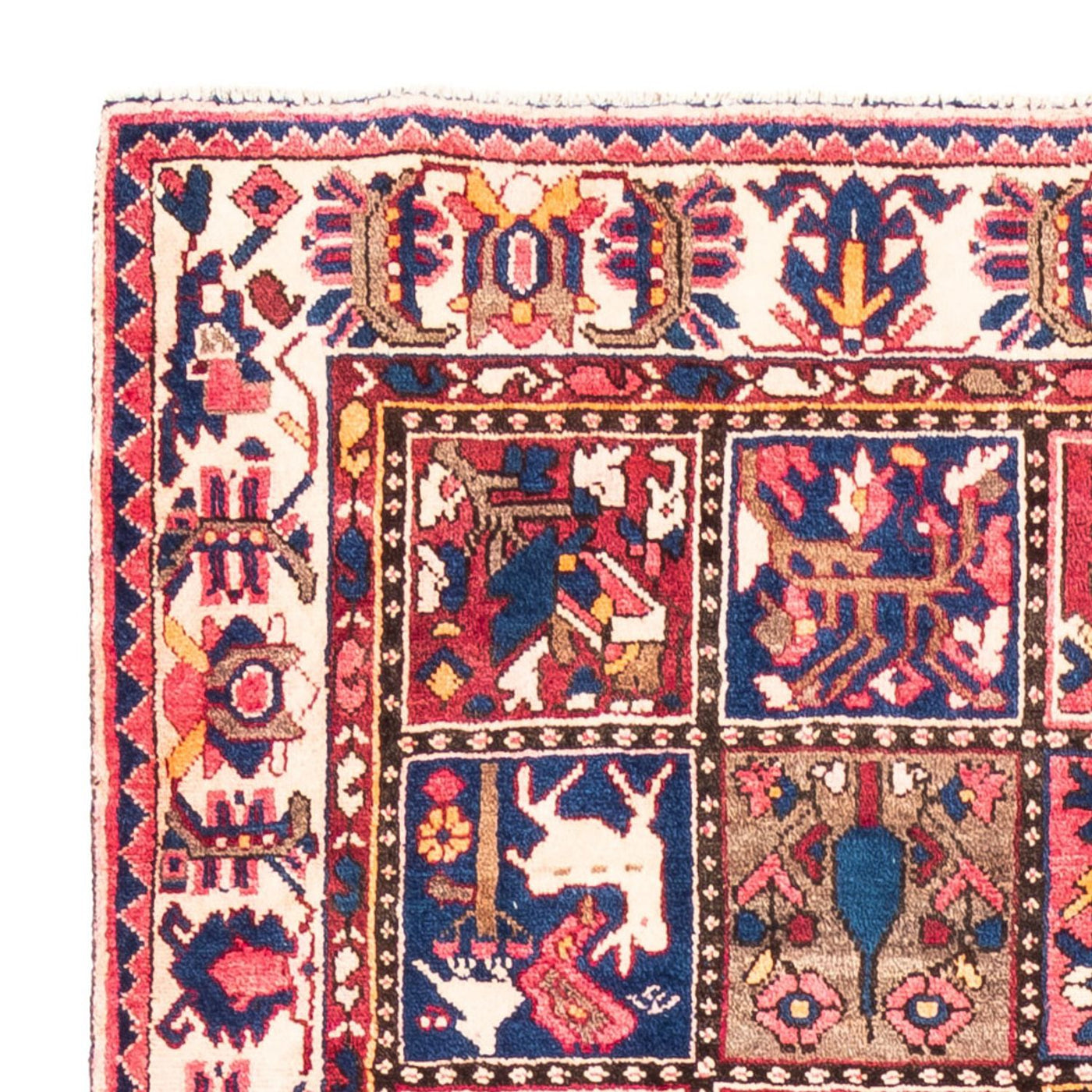 Bakhtiari Dywan 300x160cm - Dywan perski