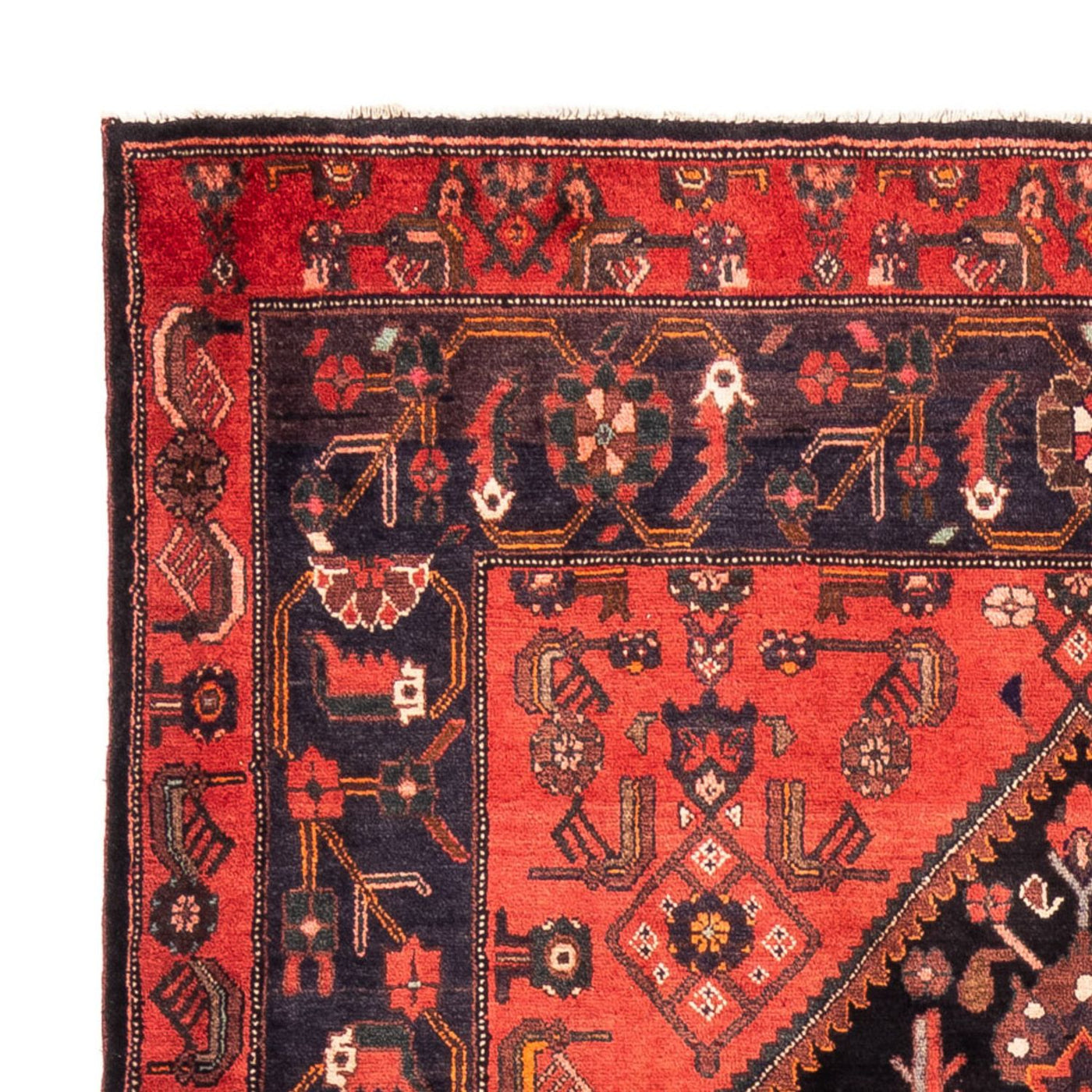 Kolyai Dywan 300x170cm - Dywan perski