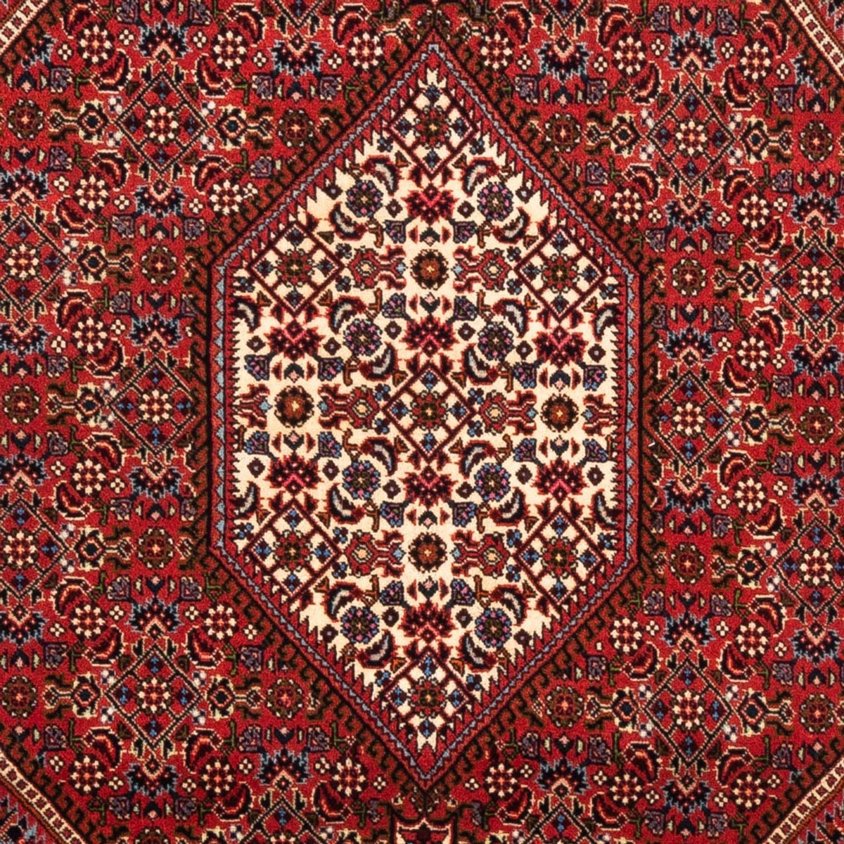 Perserteppich - Bidjar - Royal - 175 x 114 cm - rot