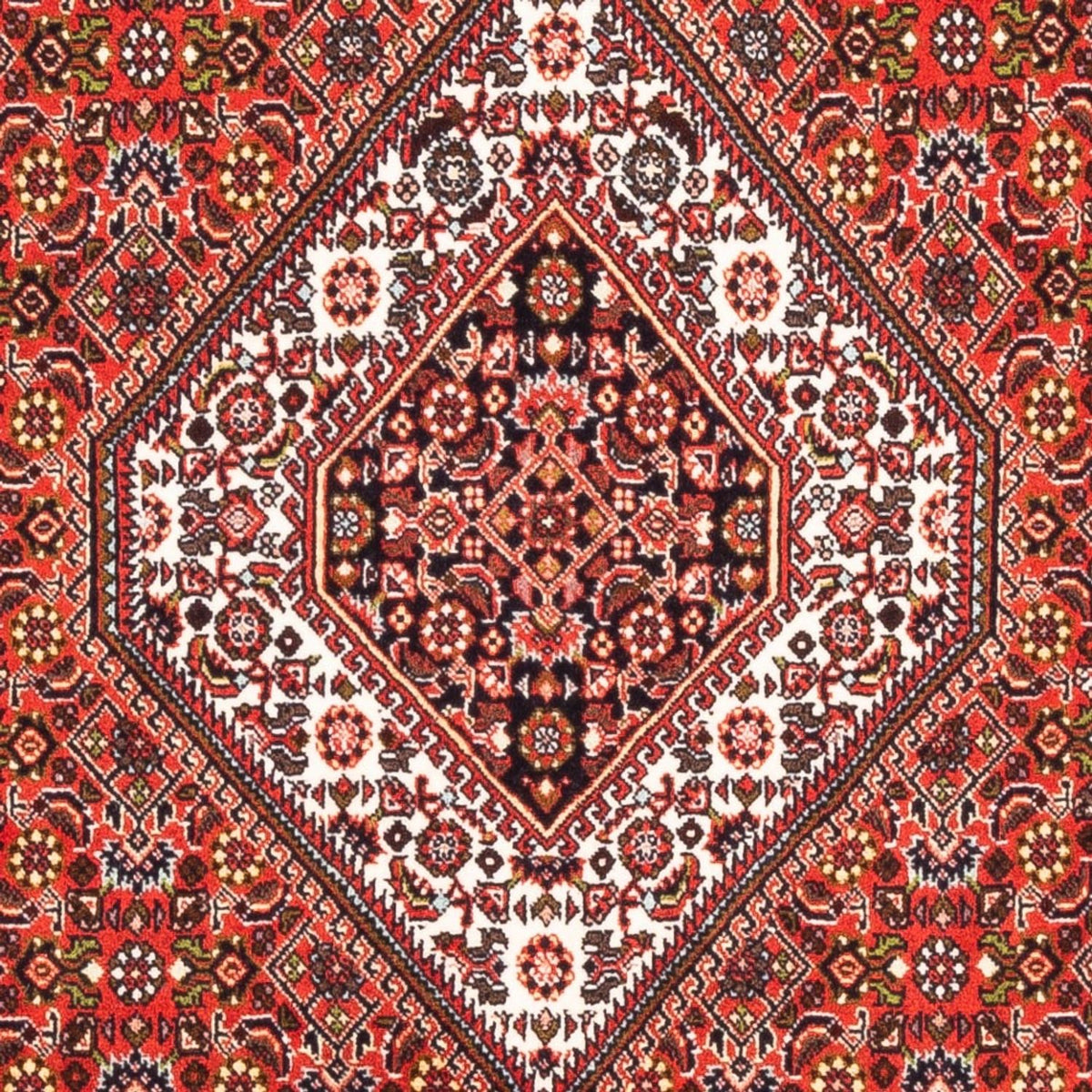 Perserteppich - Bidjar - Royal - 178 x 108 cm - rot