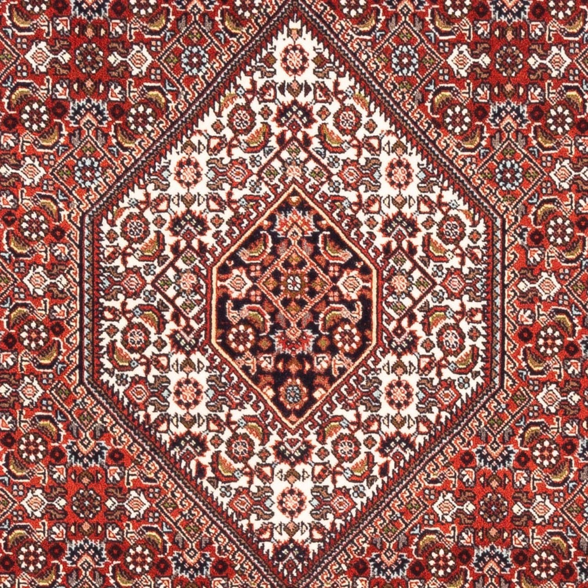 Perserteppich - Bidjar - Royal - 177 x 107 cm - rot