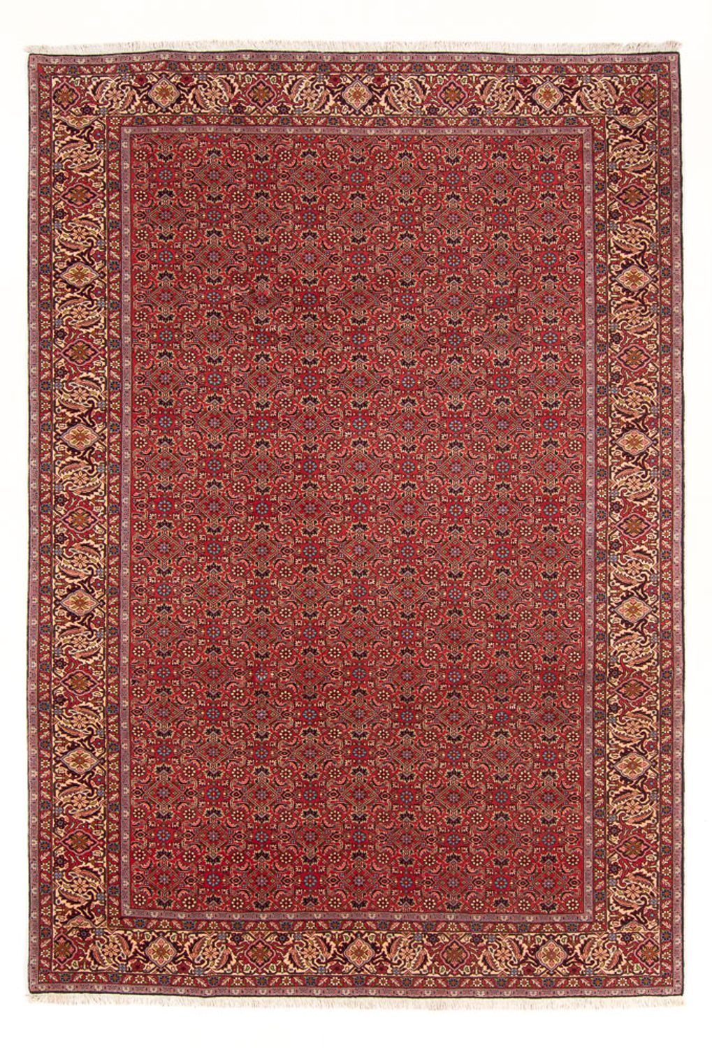 Perski dywan - Bijar - Royal - 296 x 197 cm - czerwony