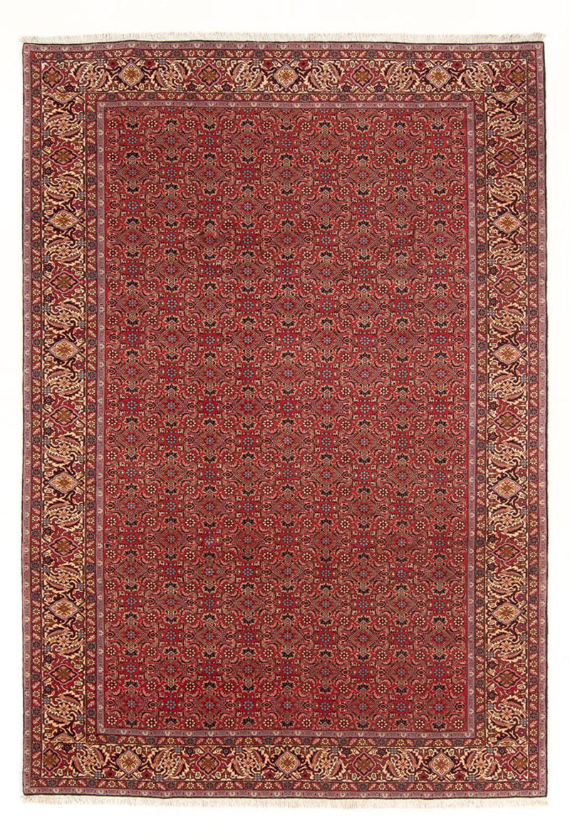 Perski dywan - Bijar - Royal - 296 x 197 cm - czerwony