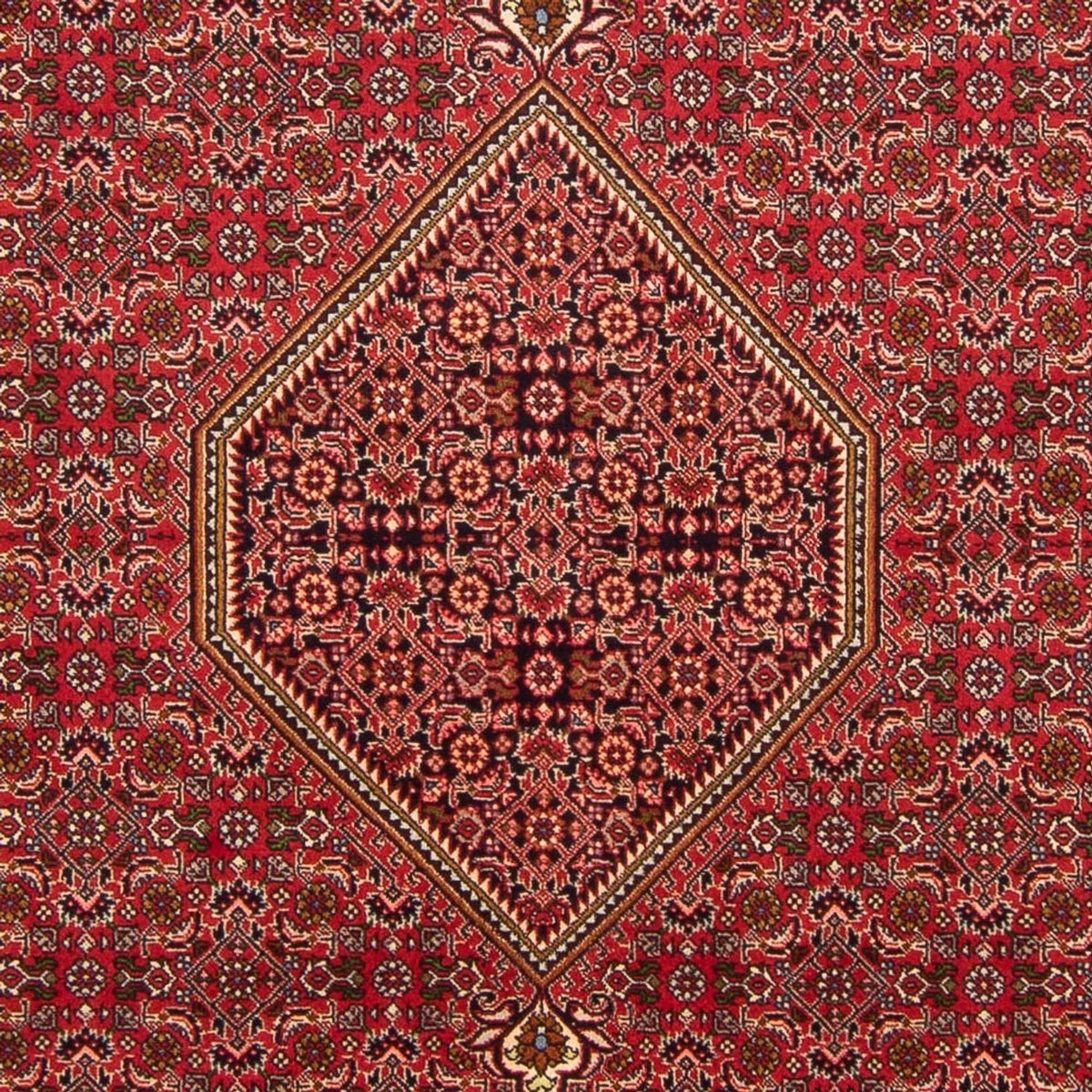 Perski dywan - Bijar - Royal - 290 x 192 cm - czerwony