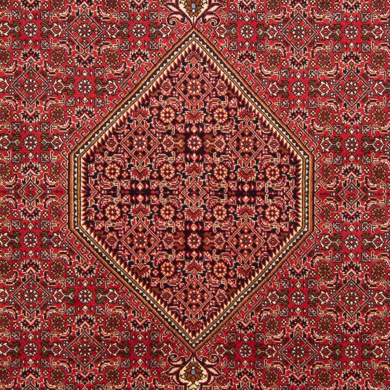 Perski dywan - Bijar - Royal - 290 x 192 cm - czerwony