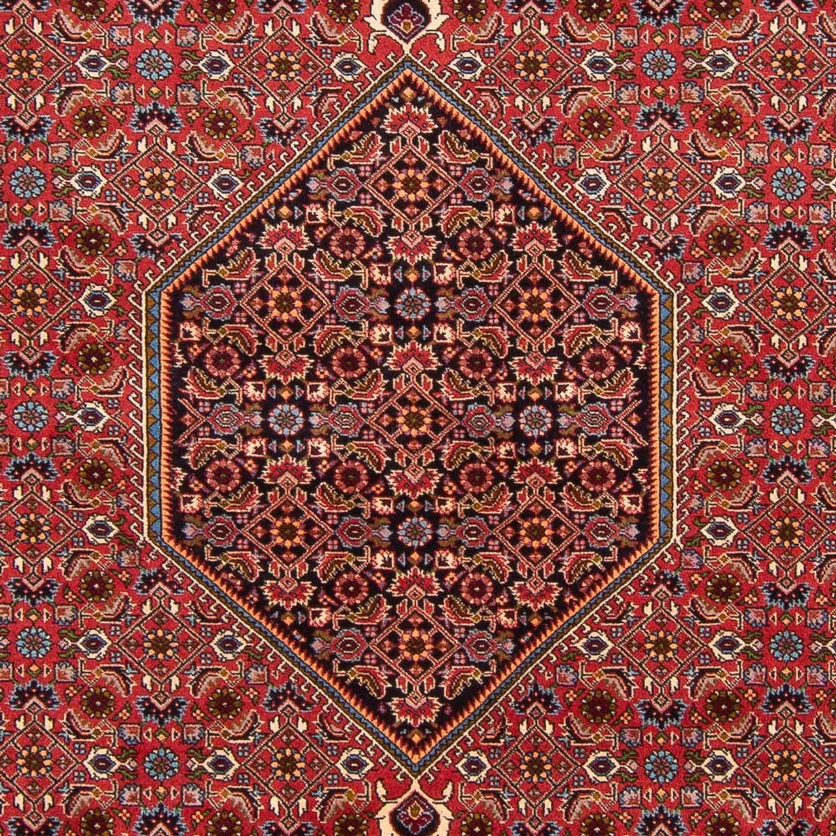 Perski dywan - Bijar - Royal - 301 x 200 cm - czerwony