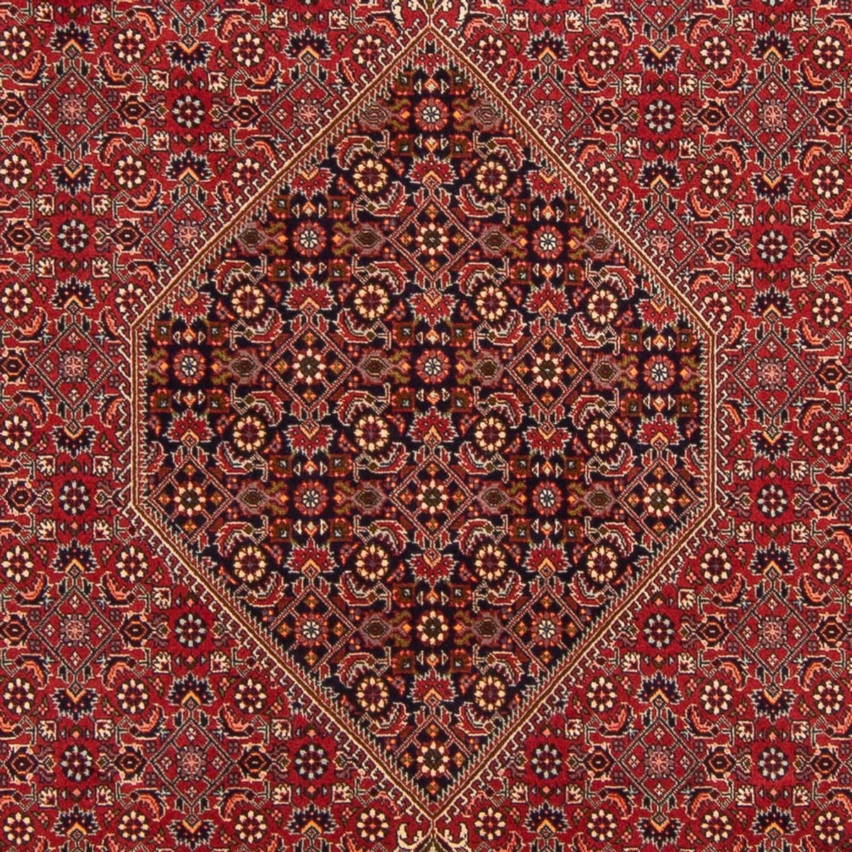 Perski dywan - Bijar - Royal - 300 x 201 cm - czerwony