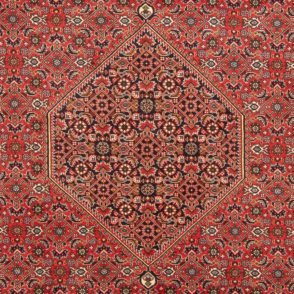 Perski dywan - Bijar - Royal - 298 x 197 cm - czerwony