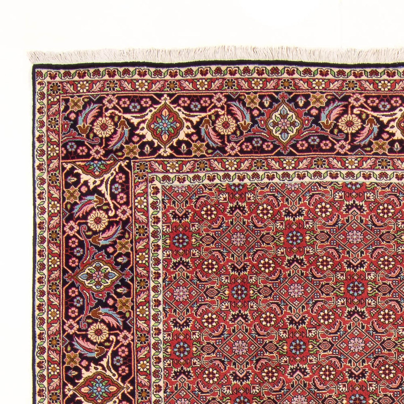 Bidjar - Bukan Dywan 290x198cm - Dywan perski