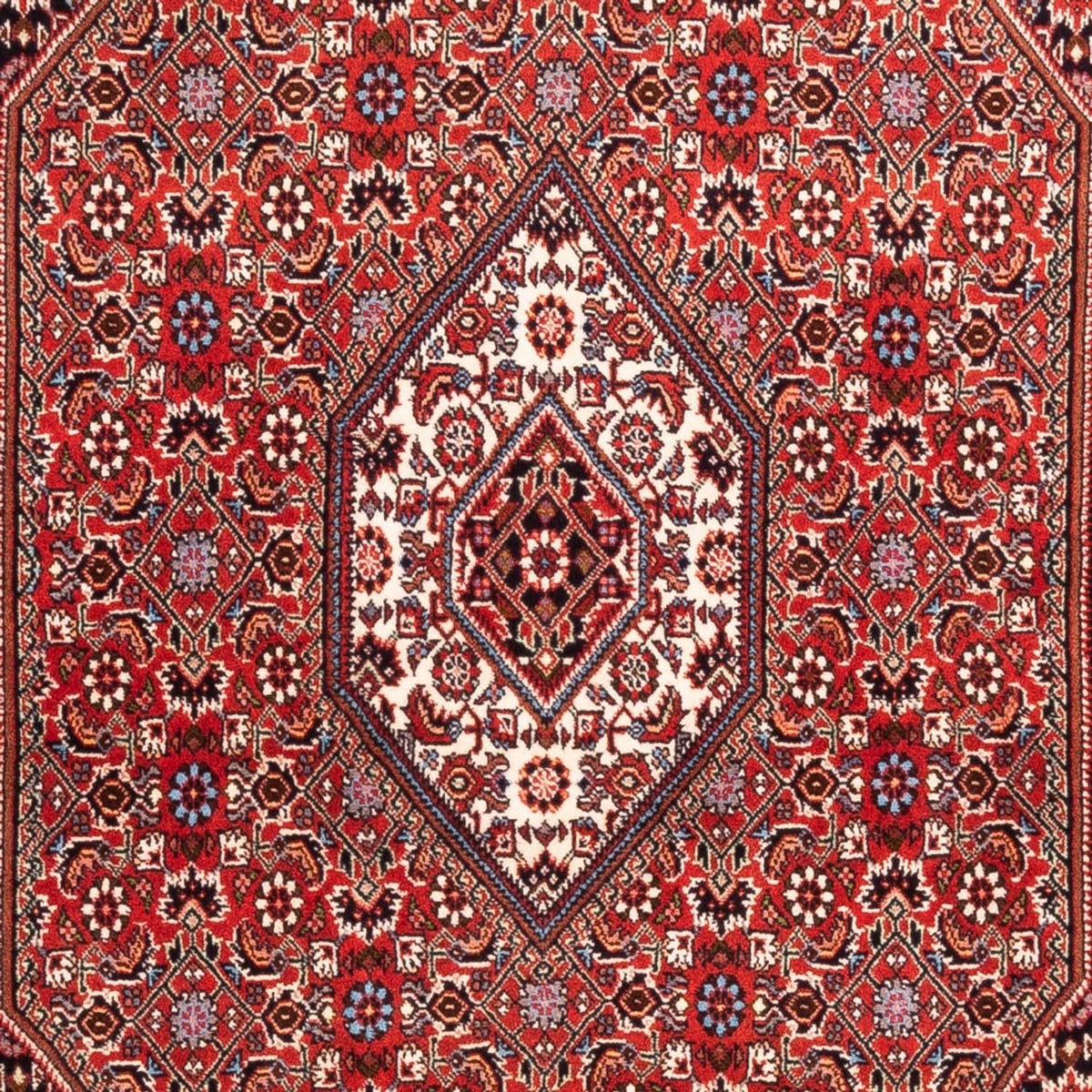 Perserteppich - Bidjar - Royal - 184 x 108 cm - rot