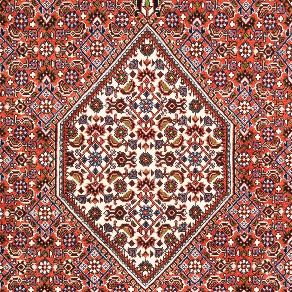 Perserteppich - Bidjar - Royal - 180 x 112 cm - rot