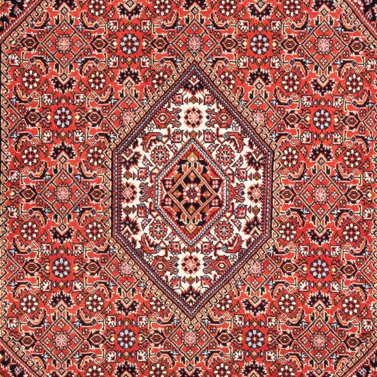 Perserteppich - Bidjar - Royal - 166 x 110 cm - rot