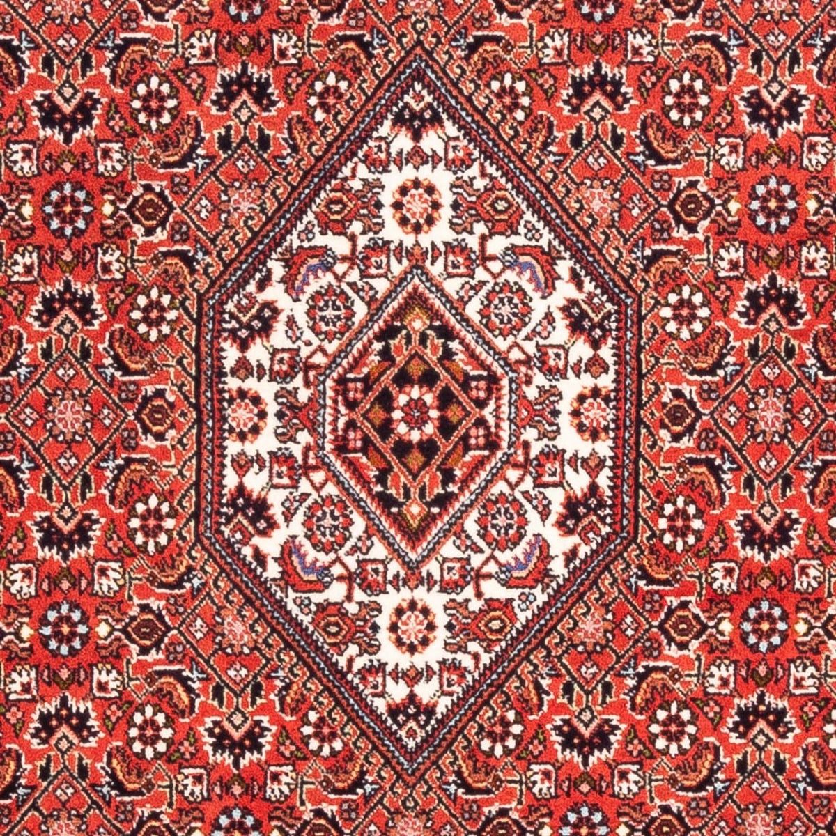 Perserteppich - Bidjar - Royal - 176 x 108 cm - rot