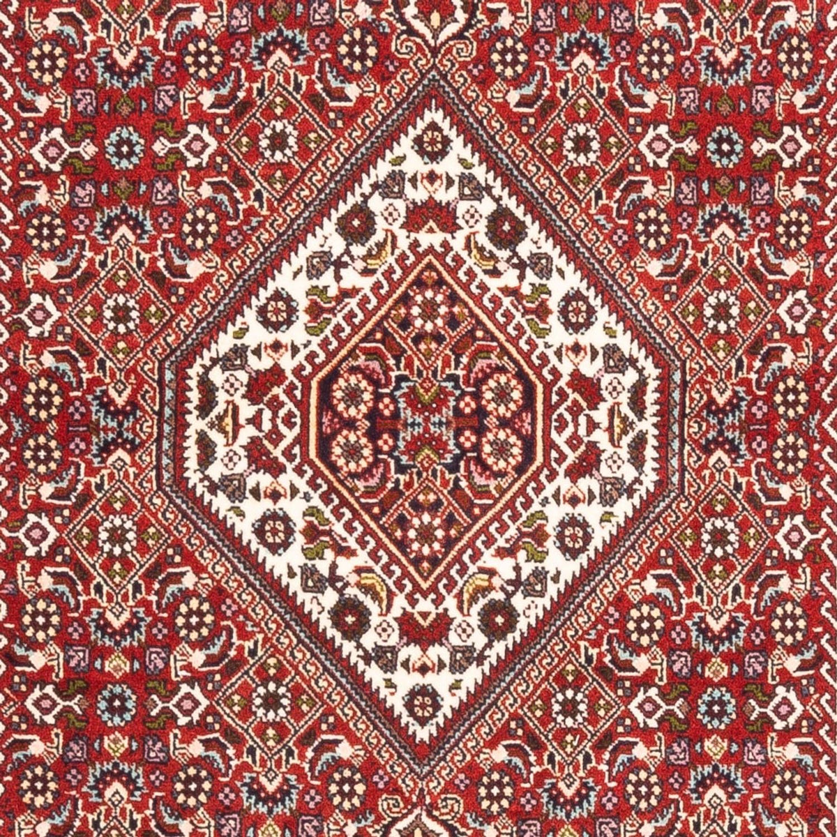 Perserteppich - Bidjar - Royal - 174 x 107 cm - rot