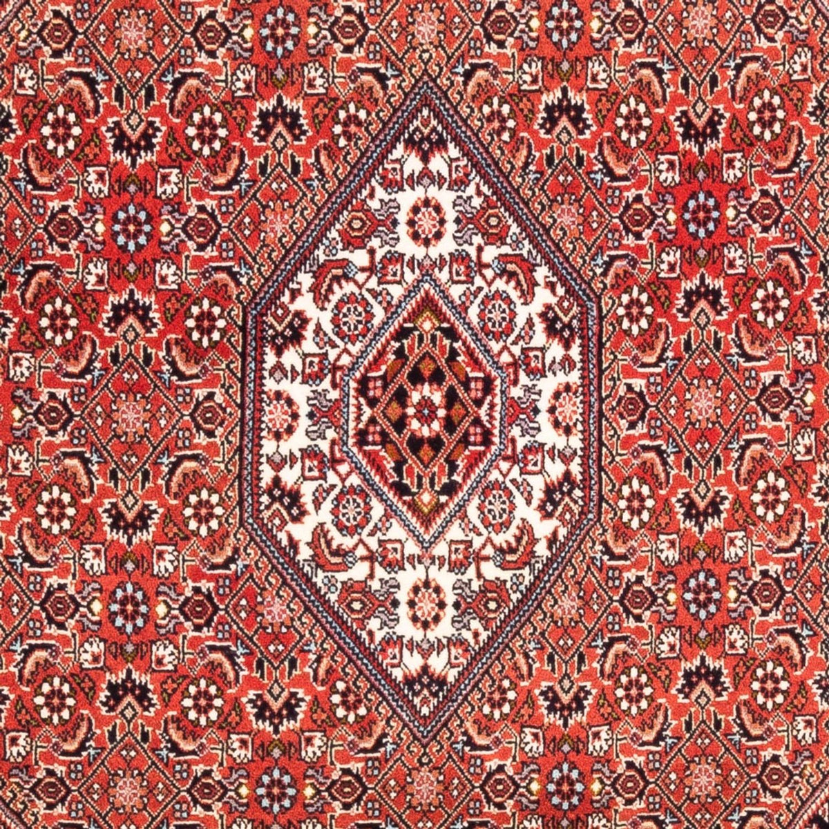 Perserteppich - Bidjar - Royal - 188 x 112 cm - rot