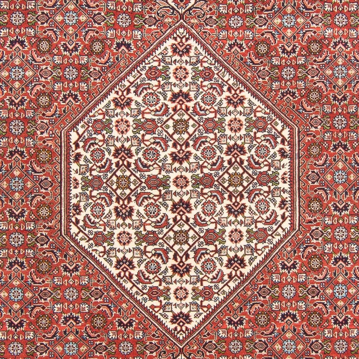 Perski dywan - Bijar - Royal - 291 x 194 cm - czerwony