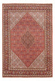 Bidjar - Bukan Dywan 294x200cm - Dywan perski