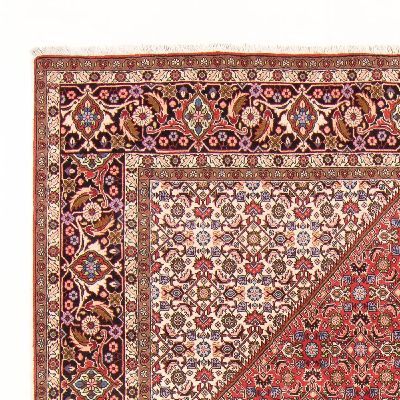 Bidjar - Bukan Dywan 294x200cm - Dywan perski